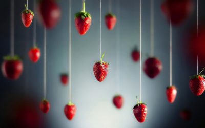 Les Fraises : un allié pour notre ligne et notre santé